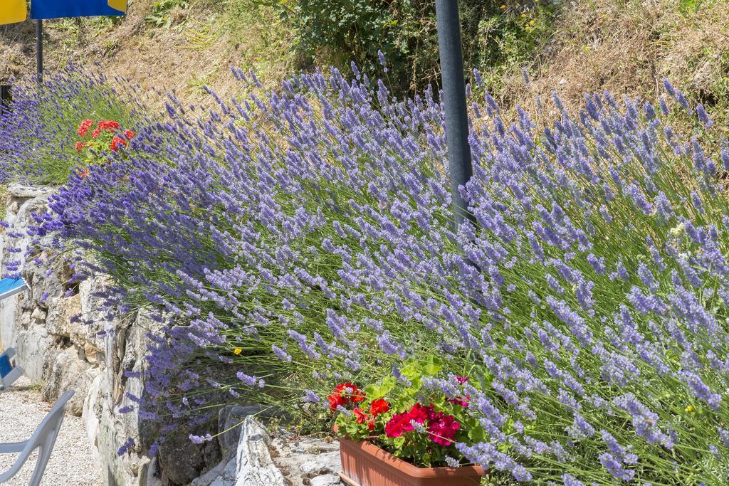 Agriturismo Monte Acuto Umbertide Luaran gambar
