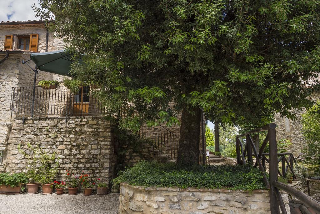 Agriturismo Monte Acuto Umbertide Bilik gambar
